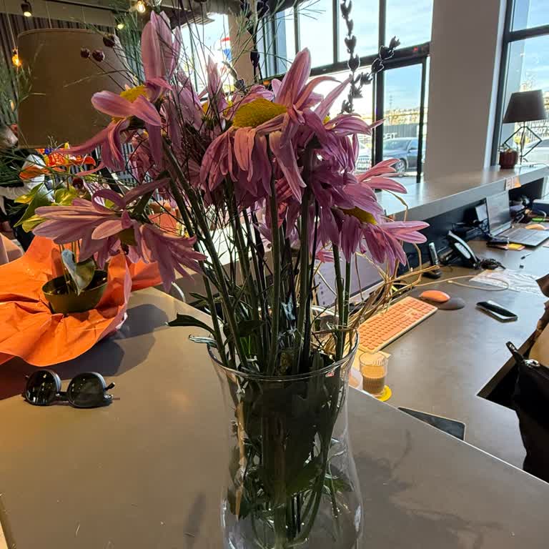 Geç Teslimat, Kötü Ürün Ve İlgisiz Müşteri Hizmetleri Nedeniyle Hayal Kırıklığı