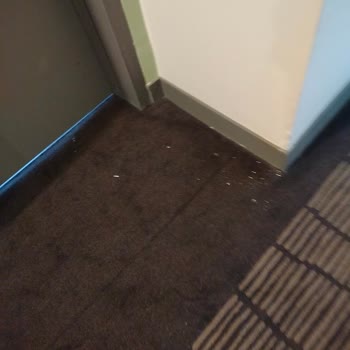 Megasaray Resort Side'da Hayal Kırıklığı: Klima, Temizlik Ve Hizmet Sorunları