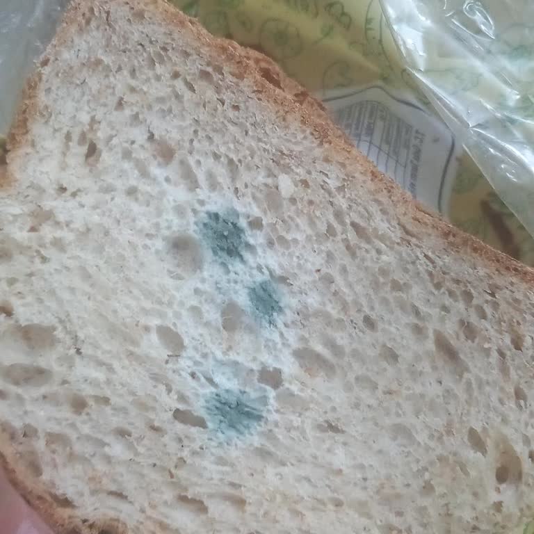 BİM Tarihi Geçmiş Ve Küflü Ekmek Satışıyla Mağduriyet Yaşadık