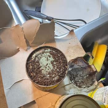 Migros Sanal Market'ten Aldığım Mısır Konservesinde Böcek Ve Hijyen Sorunu