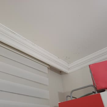 BİM Şubesinden Kaynaklanan Su Sızıntısı Ve Kalıcı Çözüm Talebi