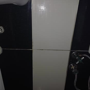 BİM Şubesinden Kaynaklanan Su Sızıntısı Ve Kalıcı Çözüm Talebi