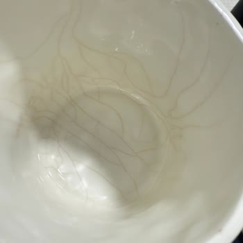 LCW Home’dan Aldığım Kupa İlk Kullanımda Çatladı, İade Talebim Var