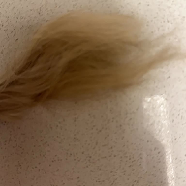 Düğün İçin Yapılan Saç Kaynak İşleminde Yüksek Ücret Ve Kalitesiz Hizmet