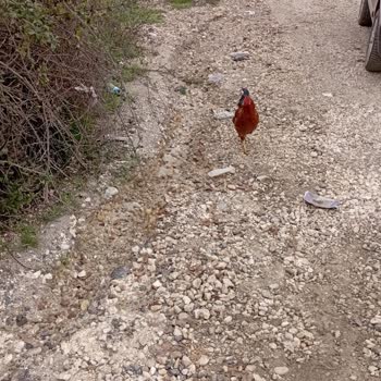 Silivri Belediyesi Yol Bozukları
