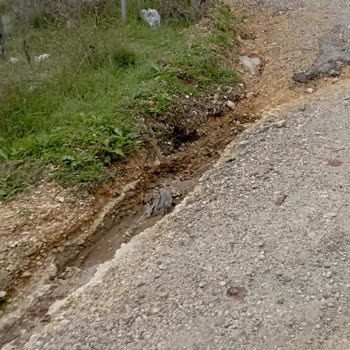 Silivri Belediyesi Yol Bozukları