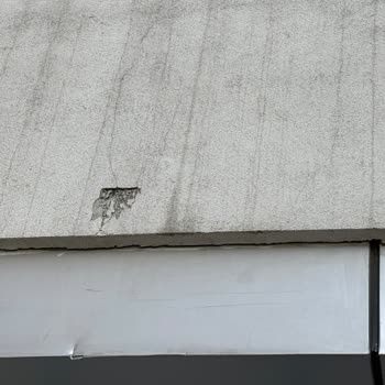 BİM Zarar Gören Tabelamın Onarımı İçin Acil Çözüm Bekliyorum