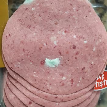 Yeni Açılan Salamda Küf Şoku: Emin Ve BİM'den Acil Çözüm Bekliyorum