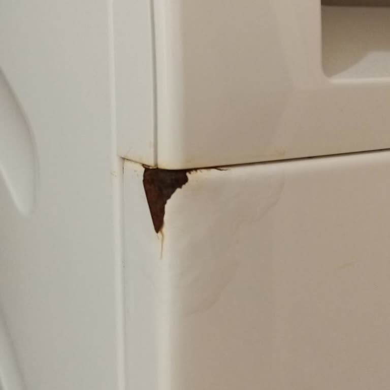 Siemens Çamaşır Makinesinde Tekrarlayan Paslanma Sorunu Ve Müşteri Mağduriyeti