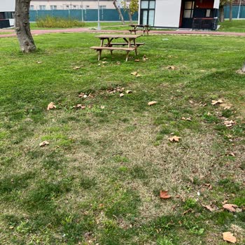 İstanbul Büyükşehir Belediyesi Florya Engelliler Kampı Şikayeti!