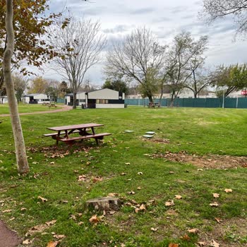 İstanbul Büyükşehir Belediyesi Florya Engelliler Kampı Şikayeti!