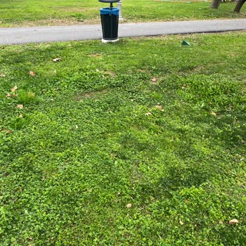 İstanbul Büyükşehir Belediyesi Florya Engelliler Kampı Şikayeti!