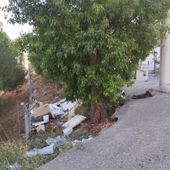 Çöpler Düzenli Toplanmıyor, Çevre Ve Yaşam Alanımız Olumsuz Etkileniyor