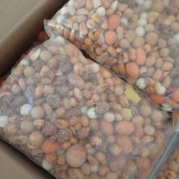 Taze Kuruyemiş Şikayetçiyim