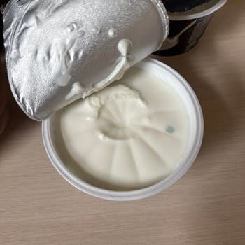 Sek Protein Kuark Ürünlerinde Küf Ve Gramaj Tutarsızlığı Sorunu