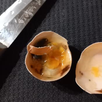 Taze Tarihli Yumurtadan Kötü Koku Ve Kararma Sorunu Yaşadım