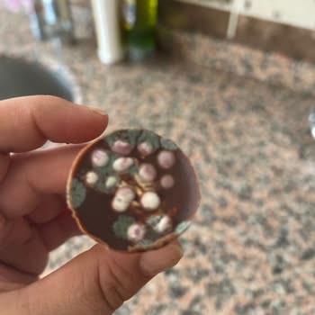 Aldığım Ozmo Cornet Küflü Çıktı Fişim Yok Mağduriyetimin Giderilmesini İstiyorum