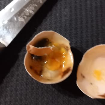 A101'den Aldığım Yumurtalar Bozuk Çıktı, Resmi İşlem Yapılmadı