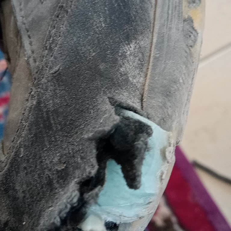 Kısa Sürede Açılan Ayakkabı İçin Değişim Talebim Reddedildi