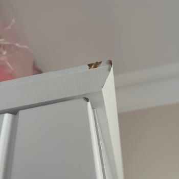 Dünya Nakliyat | Ankara Taşıma Sırasında Birçok Eşyam Ciddi Şekilde Hasar Aldı, Kırıldı Ve Yırtıldı!