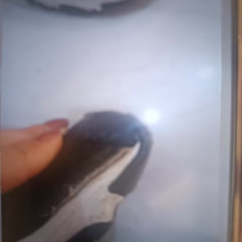 Pointspor Kısa Sürede Açılan Skechers Ayakkabı İçin Garanti Kapsamında Destek Alamama