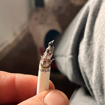 Parlement Night Blue Sigarada Odun Parçaları Çıkıyor Kalite Büyük Sorun Oldu