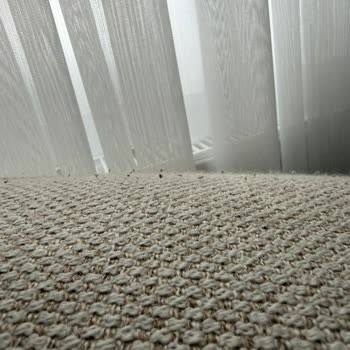 Normod Koltuklarda Kısa Sürede Tüylenme Ve Deformasyon Sorunu