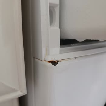 Bosch Çamaşır Makinesinde Kısa Sürede Paslanma Ve Yetersiz Destek