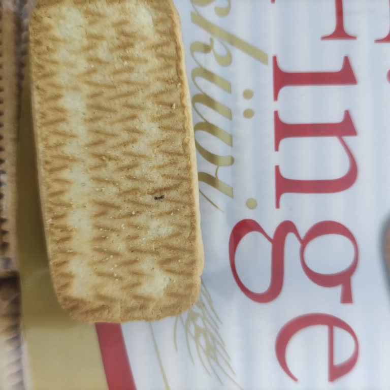 Aldığım Paketten Böcek Çıktı Son Kullanma Tarihi Geçmemişti