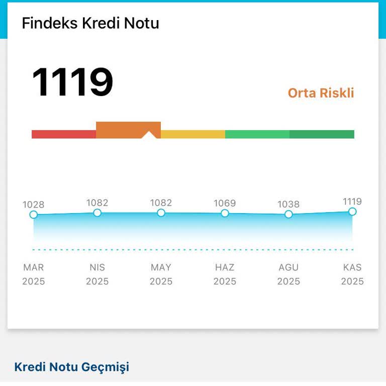 Findeks Puanım Haksız Yere Düşük!