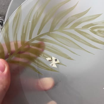 Tarhana Cipsinde Kurt Ve Sinek Şoku: Hijyen Endişesi