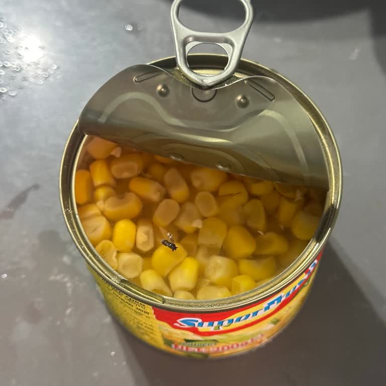 Konserve Mısırdan Sinek Çıkması Hijyen Endişesi Yarattı