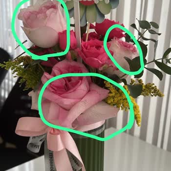 Sipariş Ettiğim Çiçek Görselden Tamamen Farklı Ve Solmuş Halde Teslim Edildi