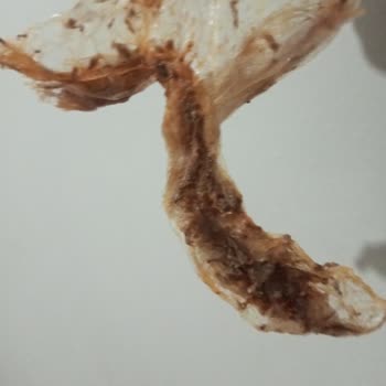 Döner Siparişimden Çıkan Naylon Poşet Hijyen Endişesi Yarattı