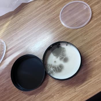 Urban Care Saç Wax'ı Küflü Çıktı: Değişim Ve Açıklama Talebim Var