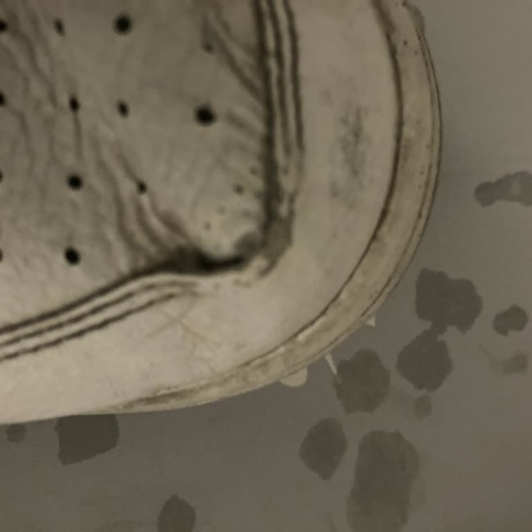 Kısa Sürede Deforme Olan Nike Ayakkabı İçin Garanti Reddi Ve Mağduriyet