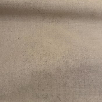 Halı Yıkama Sonrası Lekeler Ve Yetersiz Müşteri Hizmeti Nedeniyle Mağduriyet