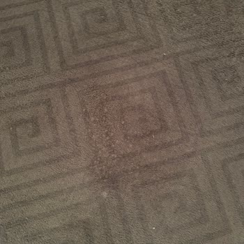 Halı Yıkama Sonrası Lekeler Ve Yetersiz Müşteri Hizmeti Nedeniyle Mağduriyet