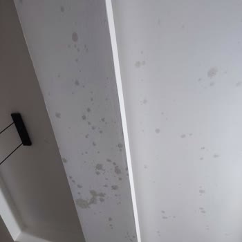 Şok Marketten Aldığım Kefir Patladı, Evim Mahvoldu!