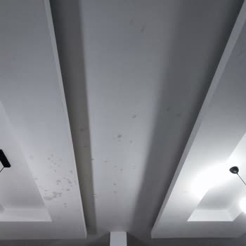 Şok Marketten Aldığım Kefir Patladı, Evim Mahvoldu!