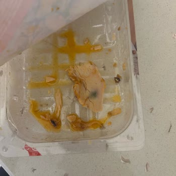 Aldığım Tavuk Dönerde Bozulma Ve Yeşillik Çıktı Endişelendim