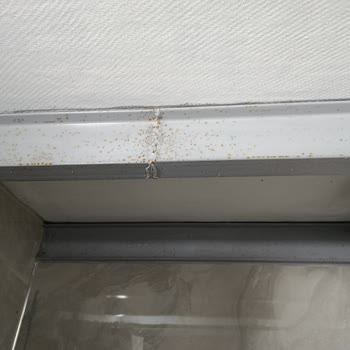 Filli Boya Su Bazlı Yağlı Boyada Demir Yüzeyde Kusma Sorunu Ve Çözüm Eksikliği