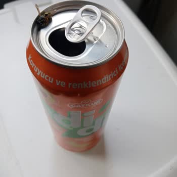 Satın Aldığım İçecekten Ölü Arı Çıktı, Sağlık Ve Güvenlik Endişesi Yaşıyorum