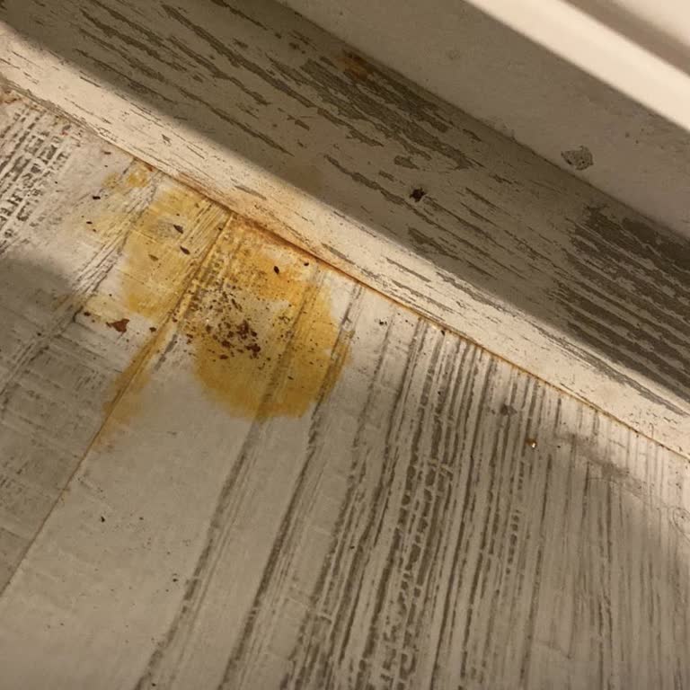 Vaillant Peteklerde İki Yıldır Süren Damlama Ve Çözülmeyen Mağduriyet