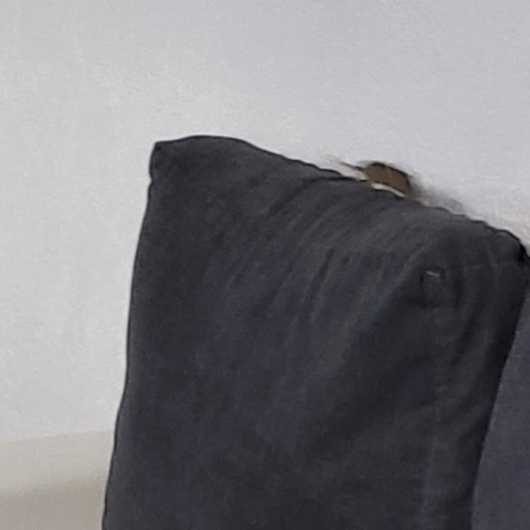 Booking.com Rental Had Mice and a Threatening Host