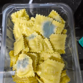 Küflü Ürün Teslimatı Ve Müşteri Hizmetlerine Ulaşılamaması