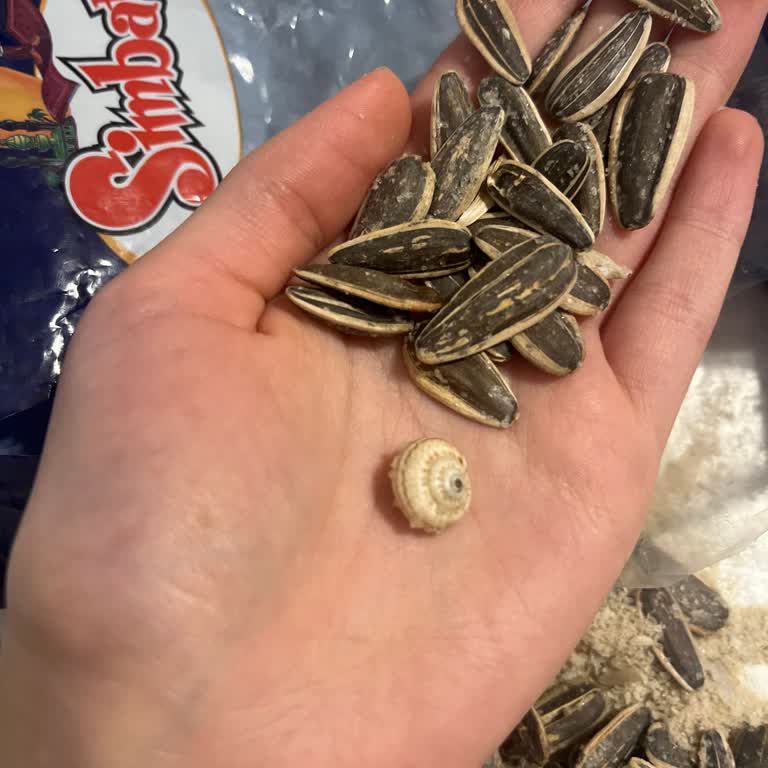 Aldığım Çekirdeğin İçinden Salyangoz Çıkması Nedeniyle Sağlık Ve Güvenlik Endişesi