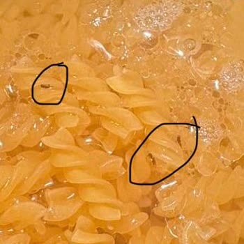 Aldığım Makarnada Böcek Çıktı, Sağlığımız Tehlikeye Girdi