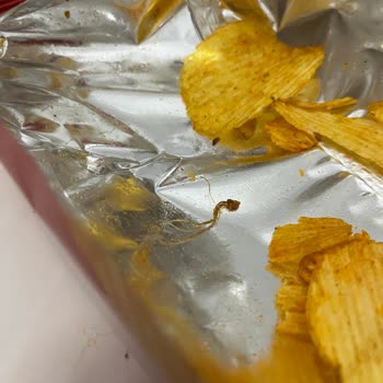 Aldığım Cipsin İçinden Yabancı Madde Çıkmasıyla Yaşadığım Endişe