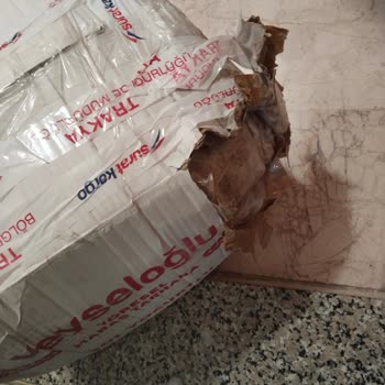 Kargom Kayboldu Ve Hasarlı Teslim Edildi Destek Alamıyorum